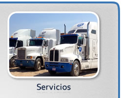 Servicios
